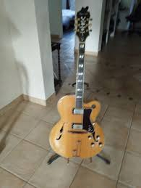 guitare broadway 490 Saint-Pe-sur-Nivelle (64)