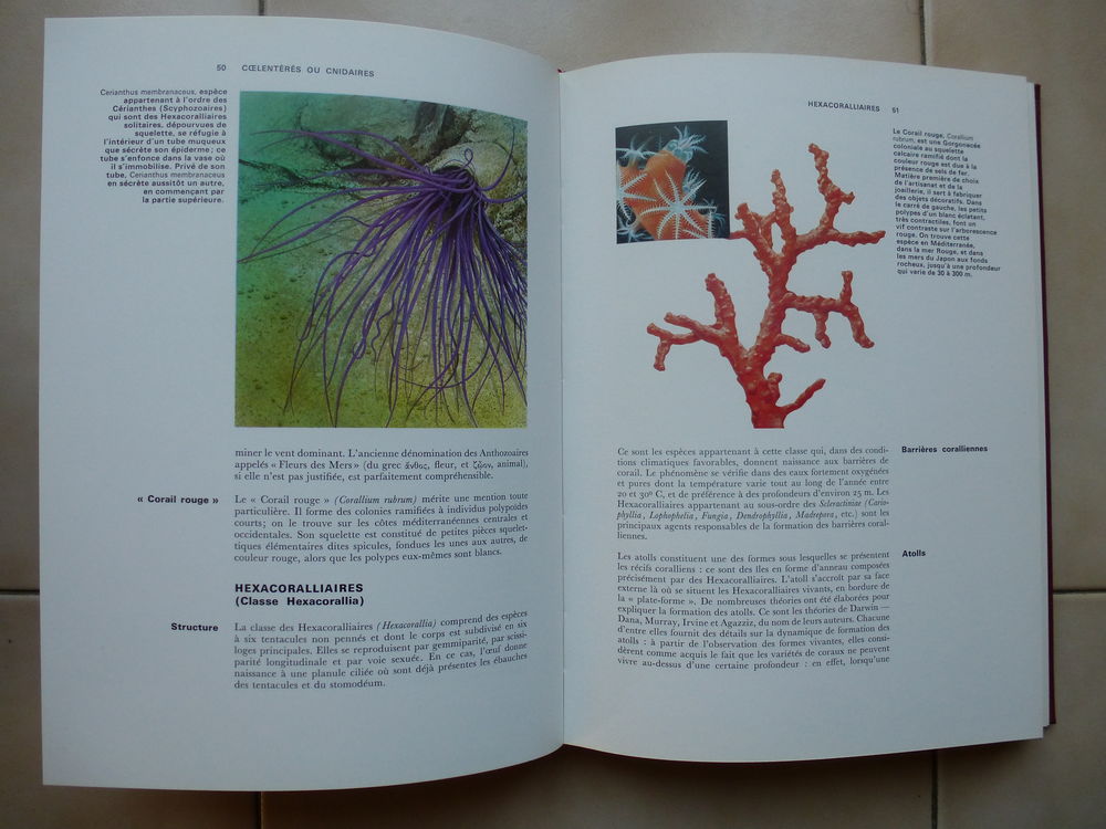 Encyclop&eacute;die de la nature Agnathes et poissons Livres et BD