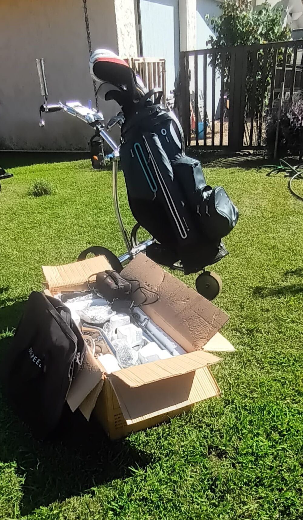 chariot de golf Sports