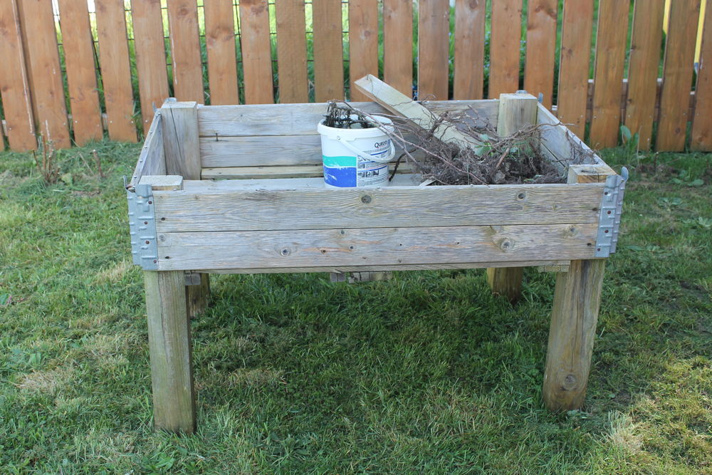 Carr&eacute; potager Jardin