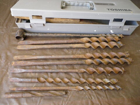 meches/forets 20 Dijon (21)