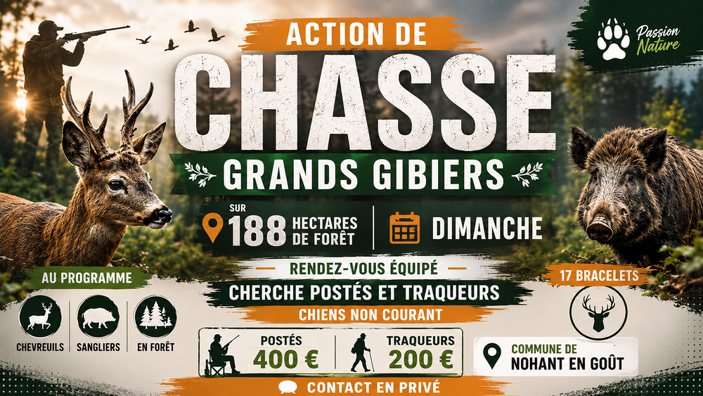 Action de chasse grands gibiers, d&eacute;partement du Cher Sports