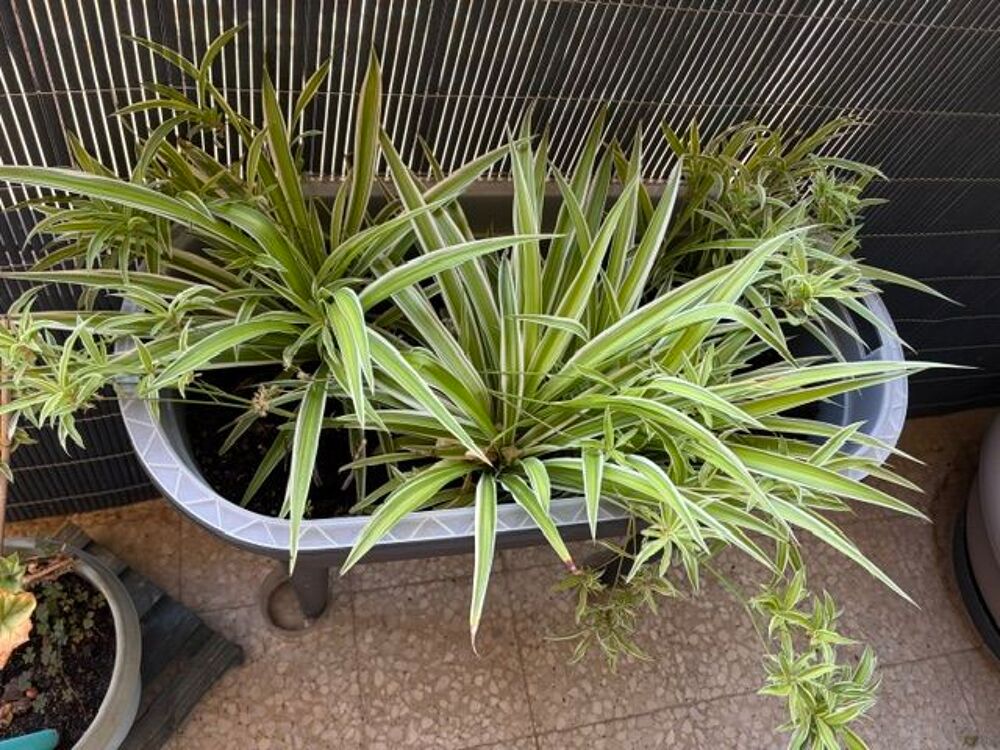Jardini&egrave;re de terrasse ou balcon Jardin