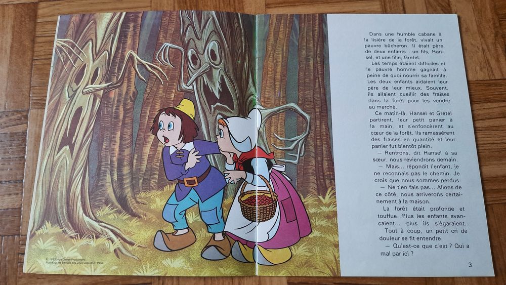 Livre Hansel et Gretel ? Walt Disney Livres et BD