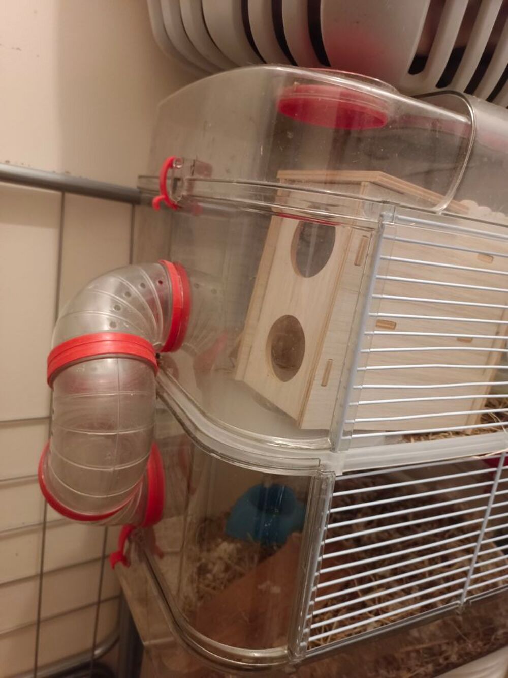   Cage rongeurs  