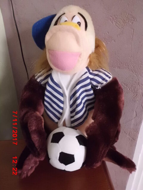 SINGE SANDY 16 Oignies (62)