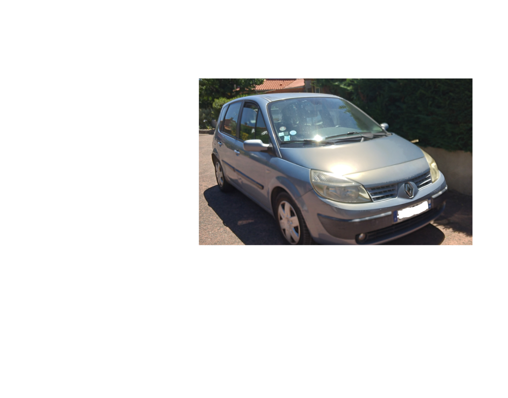 Sc&eacute;nic II Scenic 1.9 dCi 120 Pack Expression 2005 occasion 31750 Escalquens