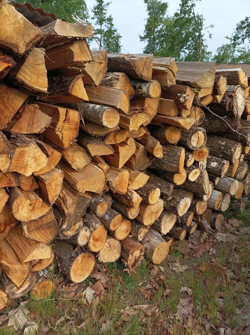 Bois chauffage Jardin