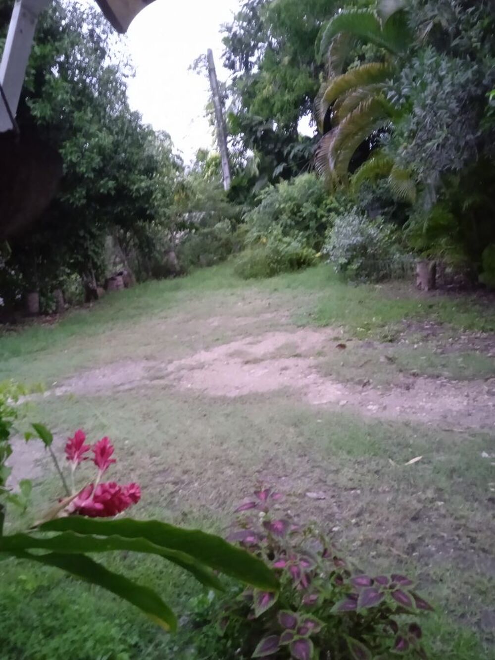   Bungalow à Sainte Anne, proche mer et centre ville DOM-TOM, Sainte-Anne (97180)