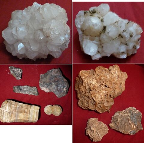 min�raux, fossiles, coquillages 1 Marseille 4 (13)