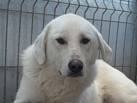 MARLEY 350 27620 Gasny
