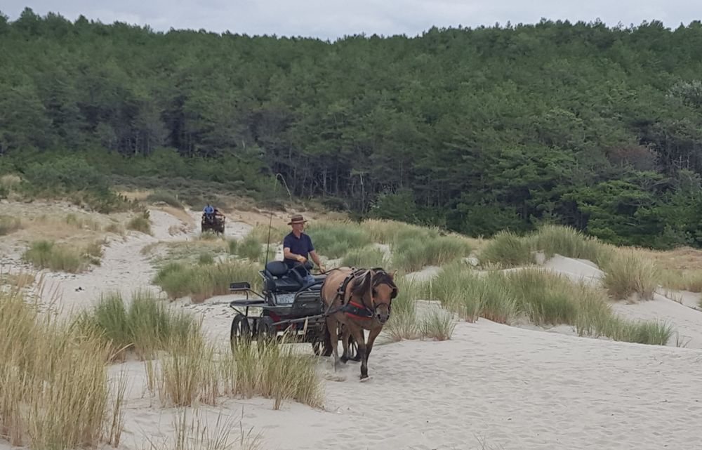   Marquenterre....Vacances en Baie De Somme Picardie, Saint-Quentin-en-Tourmont (80120)