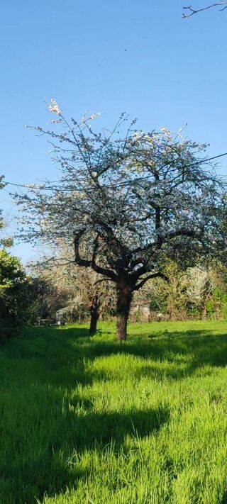  Terrain � vendre 2476 m�