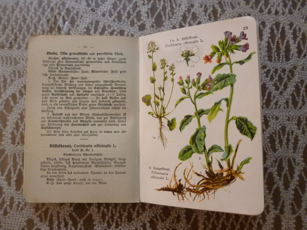 LIVRE SUR LES PLANTES MEDICINALES . PAR U. DINAND . 1933 Livres et BD