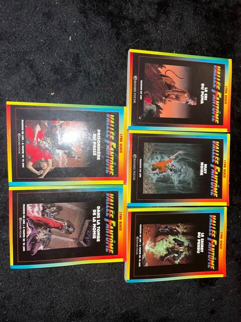 Lot livres Valle Fantme 5 Nevers (58)