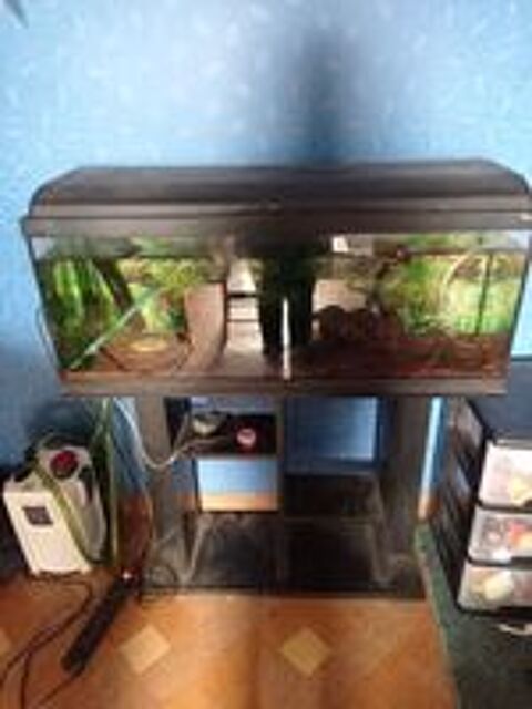   Aquarium  