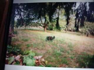  Terrain � vendre 1600 m�