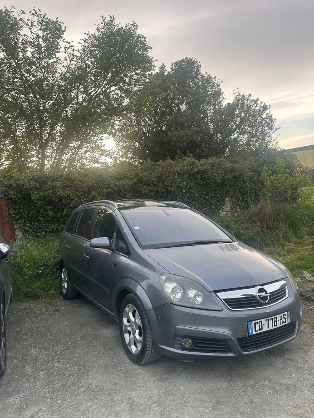 Zafira 1.9 CDTI - 120 ch FAP Cosmo Pack 2006 occasion 85290 Saint-Laurent-sur-S&egrave;vre