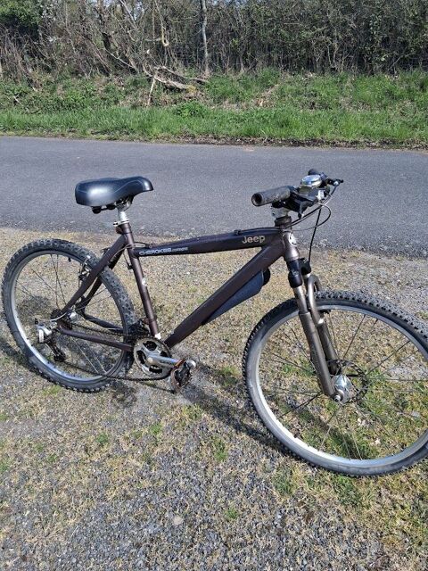 v�lo pour homme 80 L'Isle-Jourdain (86)