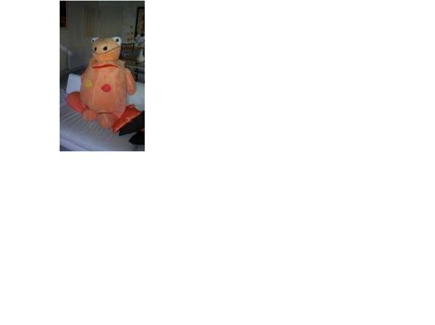 CASIMIR 35 Saint-Simon-de-Bressieux (38)