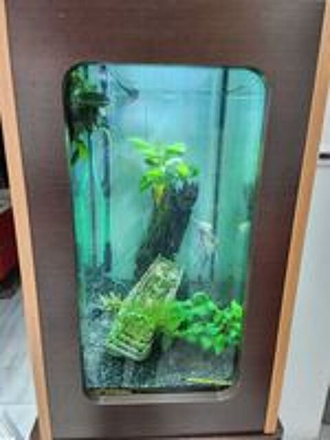   Aquarium hublot Aquatlantis - vendu avec tout le matériel 