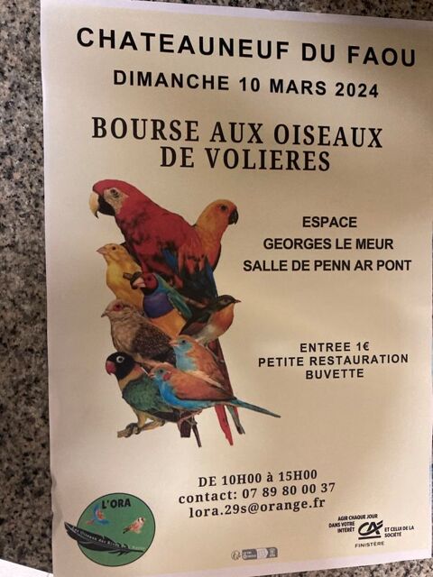 Bourse aux oiseaux, à Châteauneuf , du Faou.
1 29520 Chteauneuf-du-faou
