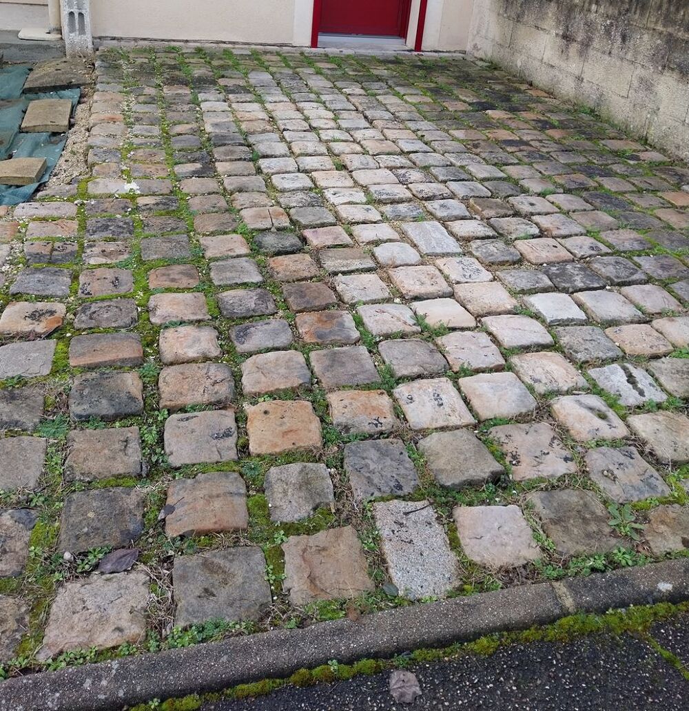 Environ 830 pav&eacute;s anciens Jardin