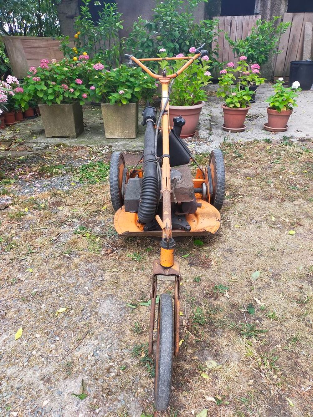 Tondeuse d&eacute;broussailleuse AS-MOTOR Jardin