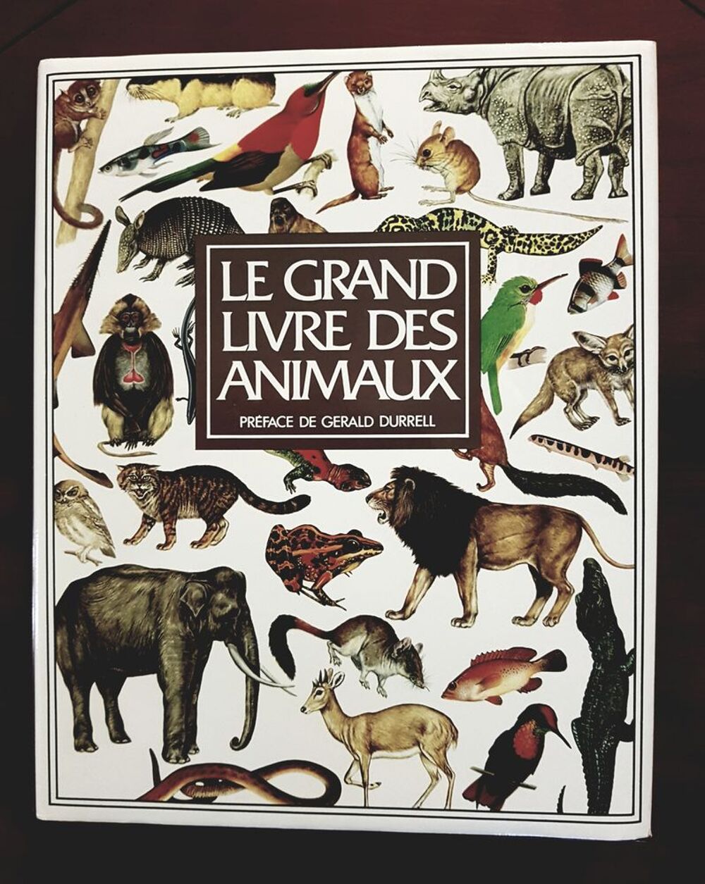 Le grand livre des animaux Livres et BD