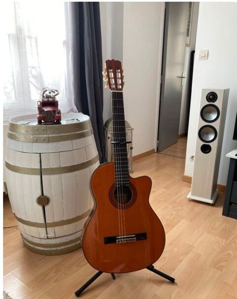 Guitare Jasmine Takamine 380 Brie-Comte-Robert (77)