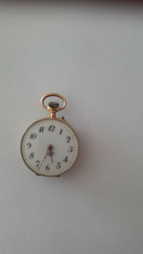 Montre de gousset 0 Saint-Laurent-du-Var (06)