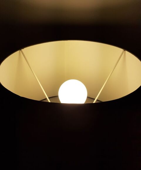 Lampe   poser 60 Pluvigner (56)