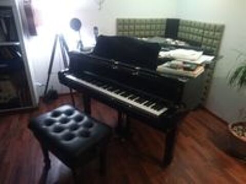  Leçon de piano 