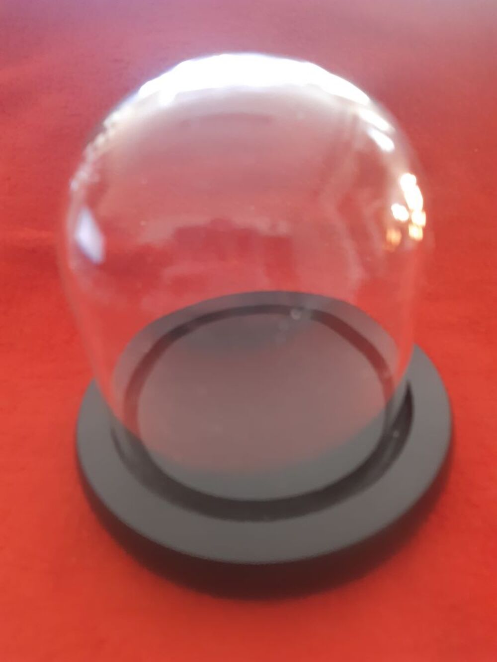 Cloche en Verre avec Socle Noir en Bois 10 cm Décoration