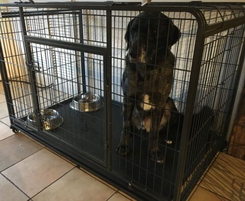 Cage pour chiens 300 45230 La bussi�re