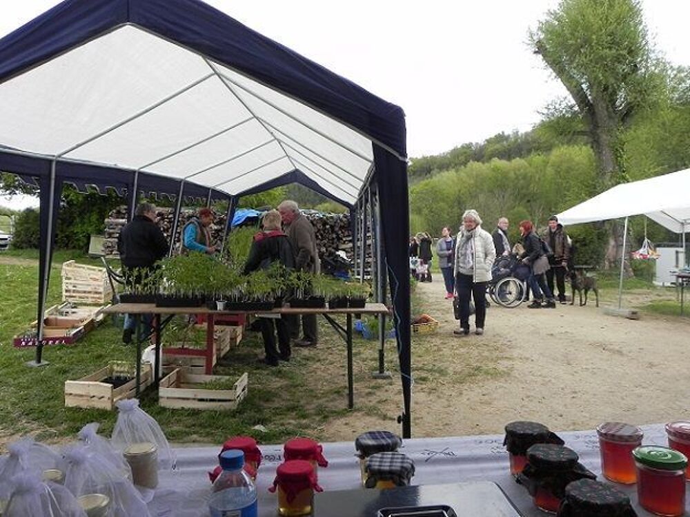 Plantes, fleurs et plants de l&eacute;gumes Jardin