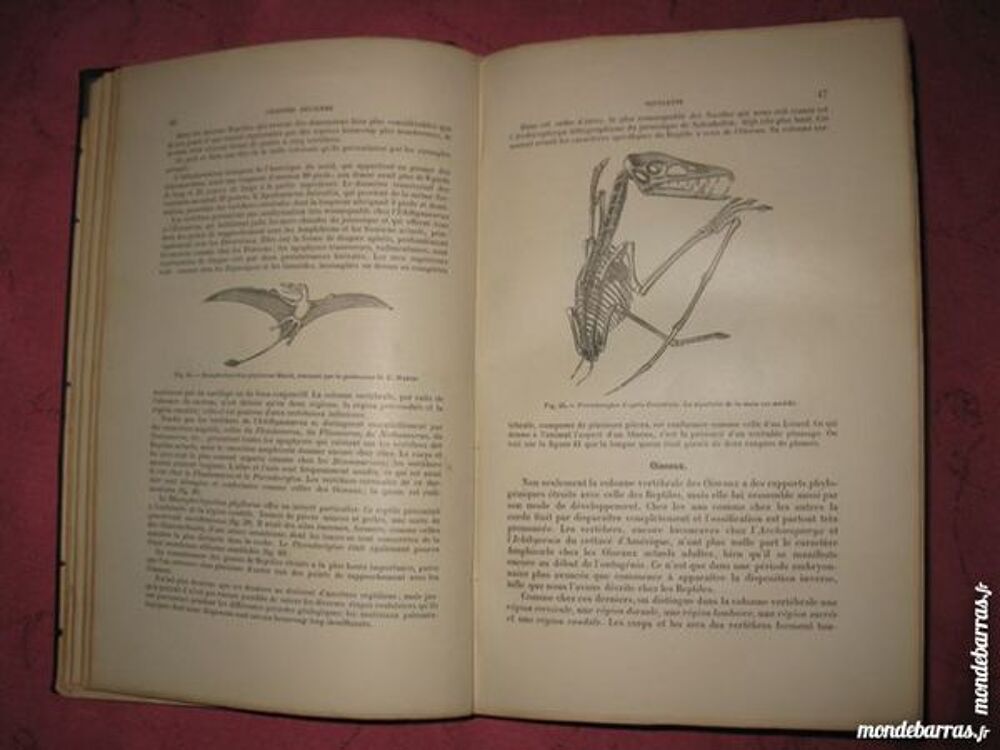 Manuel anatomie compar&eacute;e vert&eacute;br&eacute;s ann&eacute;e 1890 RARE 