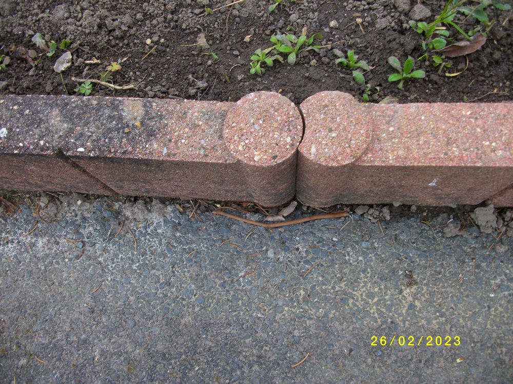 BORDURE DE JARDIN Jardin