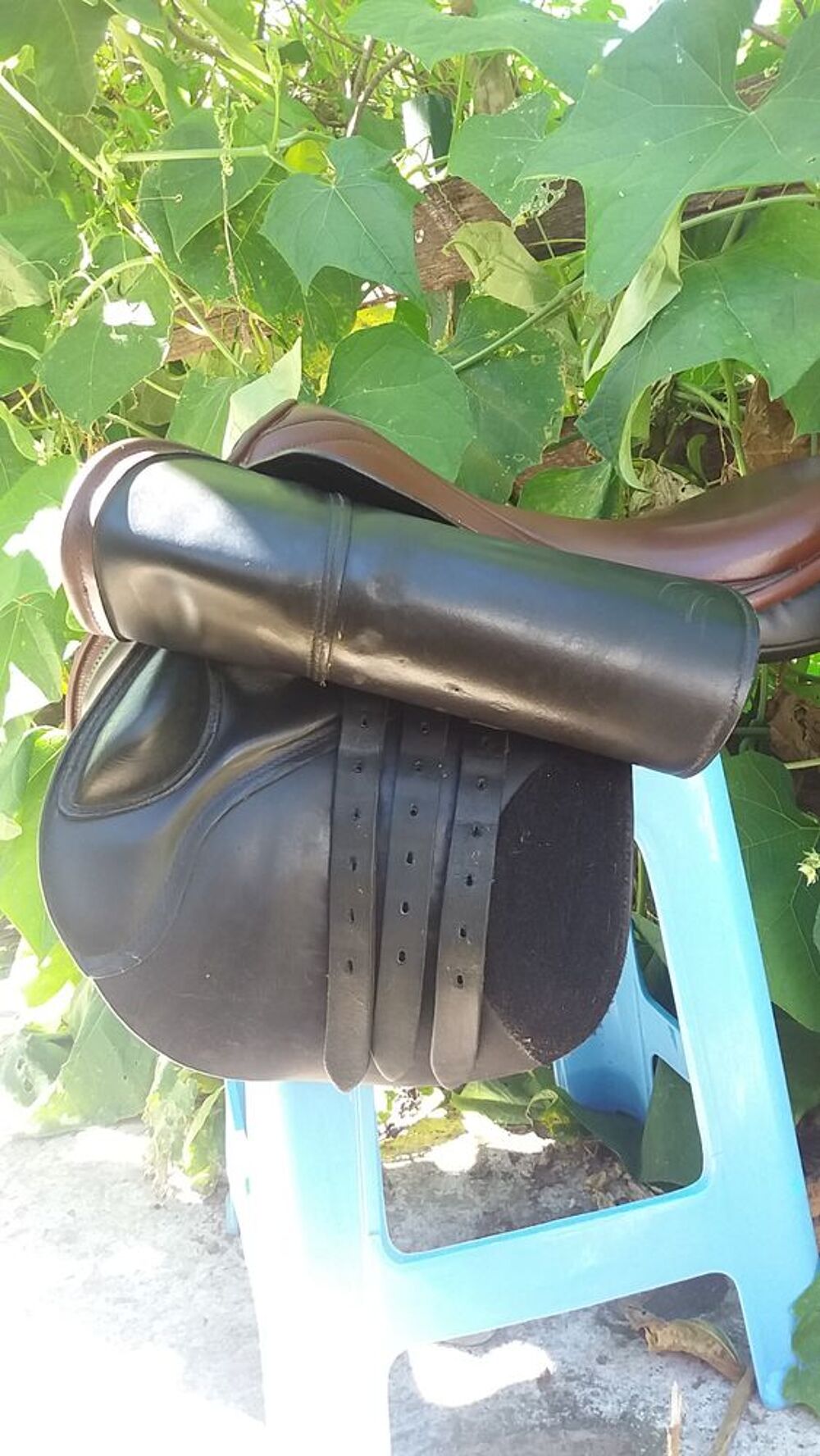 selle Seltarn Carnaux et &eacute;quipement Sports