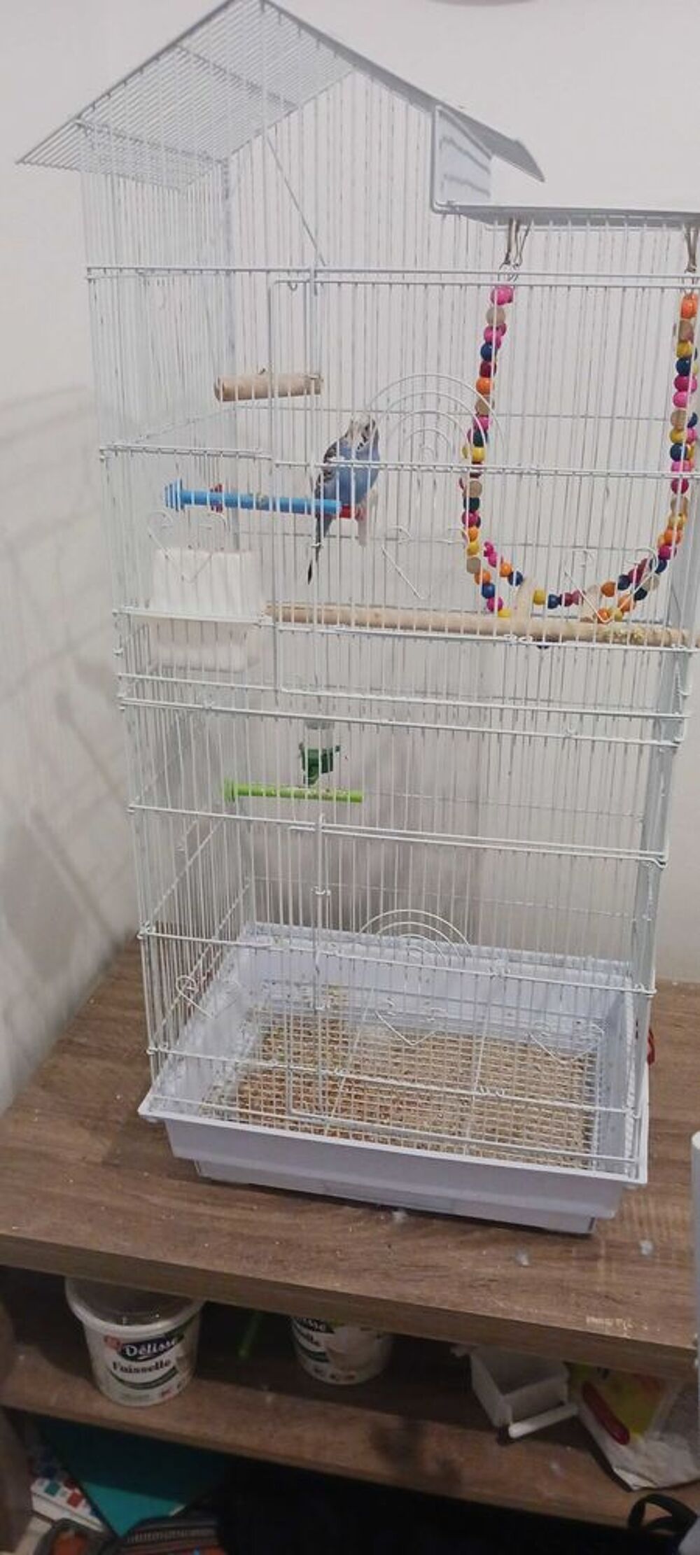 Cage oiseau Jardin