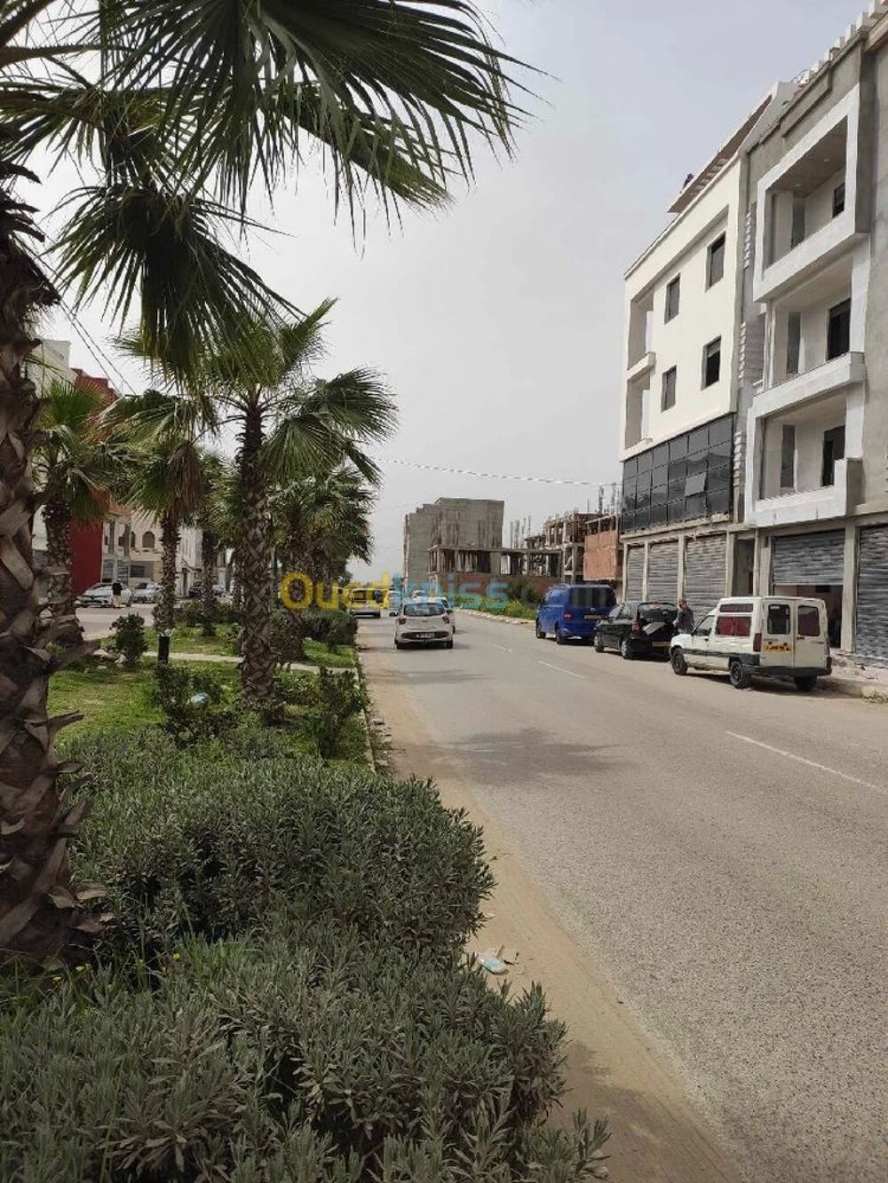 Vente Terrain Terrain 135 M² CADAT ROUIBA Rouiba (Algerie)