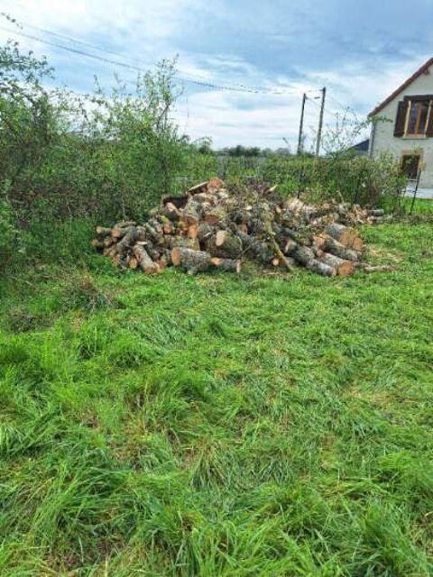 Bois de chauffage 100 Pr�cy (18)