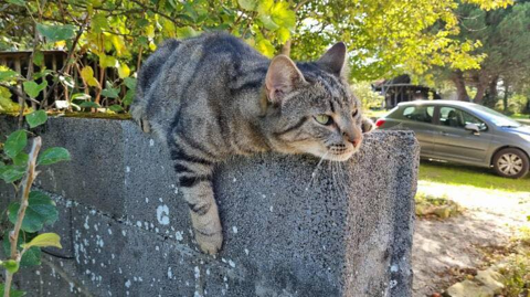 Timo 170 44000 Nantes