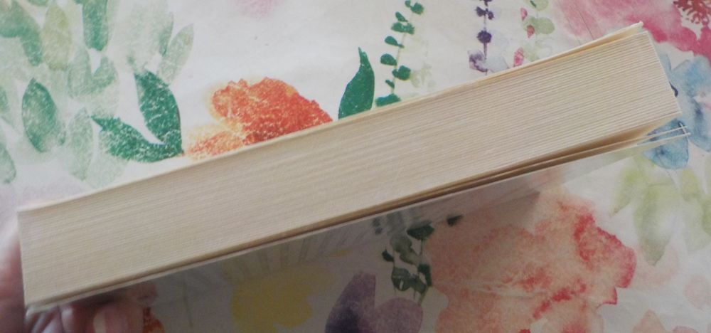 JAMAIS SANS MA FILLE par Betty MAHMOODY Ed. Fixot Livres et BD