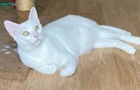   EVANGELINE, la sportive ! accrochez-vous ... 