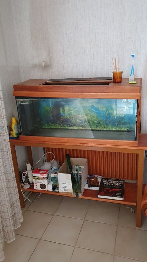 Aquarium avec meuble en bois 50 Saint-Germain-du-Puy (18)
