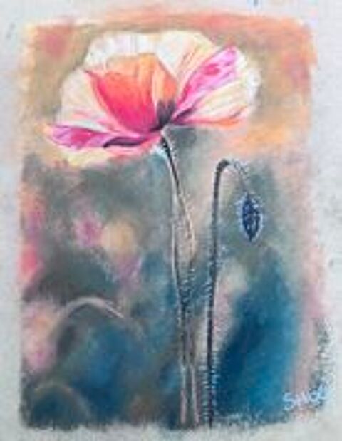   Cours de dessin, de peinture, pastel et aquarelle 