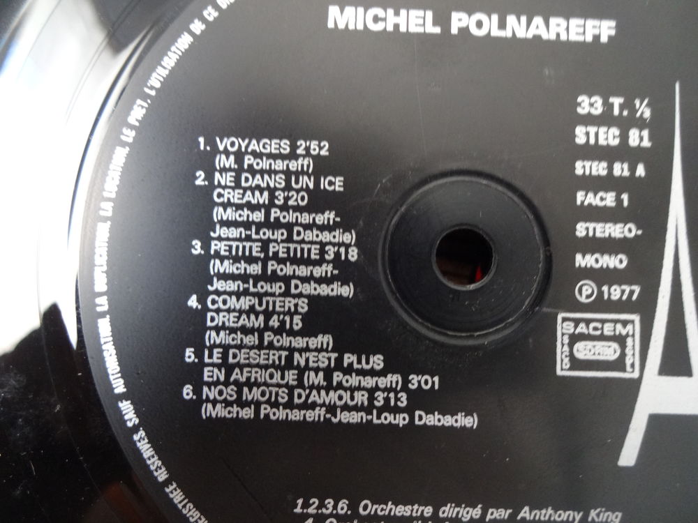 Michel Polnarff 33 tours CD et vinyles