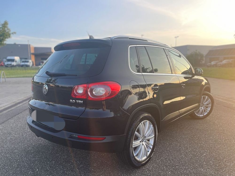 Tiguan 2.0 TDI 140 FAP Sport & Style 2008 occasion 20260 Calvi