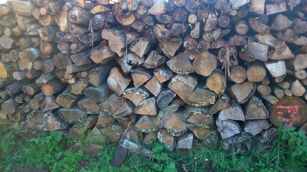bois de chauffage Jardin